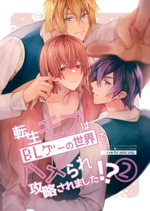 [Niwanihaniwa (Oova Akiru)] Sex with the Love Interest! But I'm an NPC! 2 [English] [Digital]